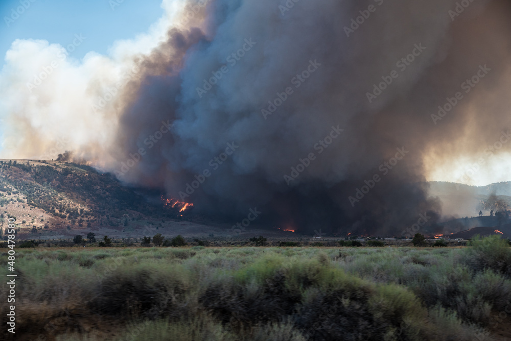 Wildfire in the California Wilderness