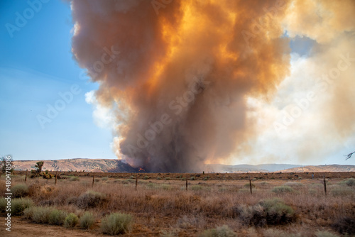 Wildfire in the California Wilderness