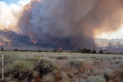 Wildfire in the California Wilderness