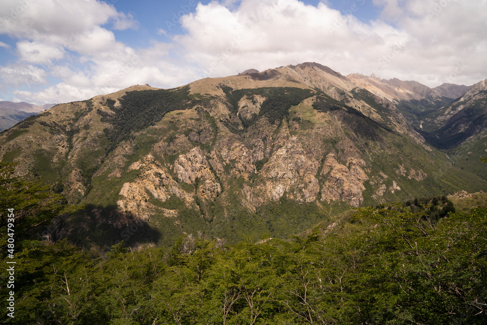 View of the mountains and green forest in Bariloche, Patagonia Argentina. 