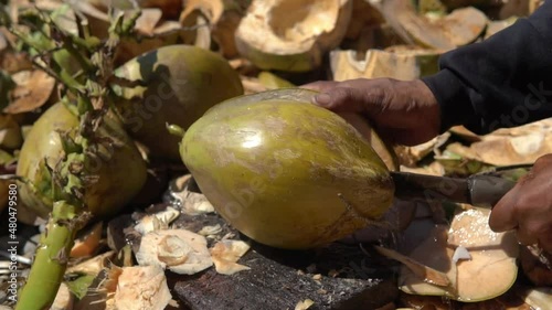 Close up shot of coconut, a man cuts coconut with machete on two pieces