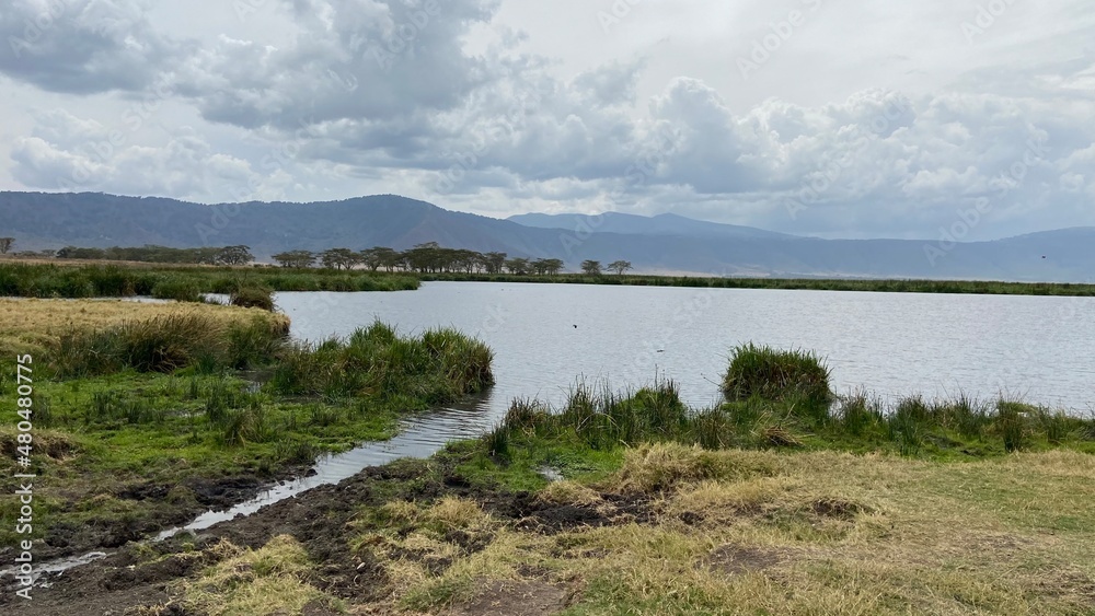 landscape with lake landscape with lake