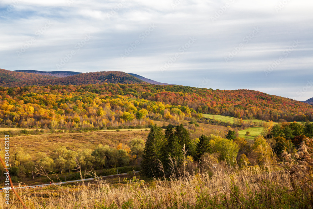 Naklejka premium Fall Season in Western Massachusetts