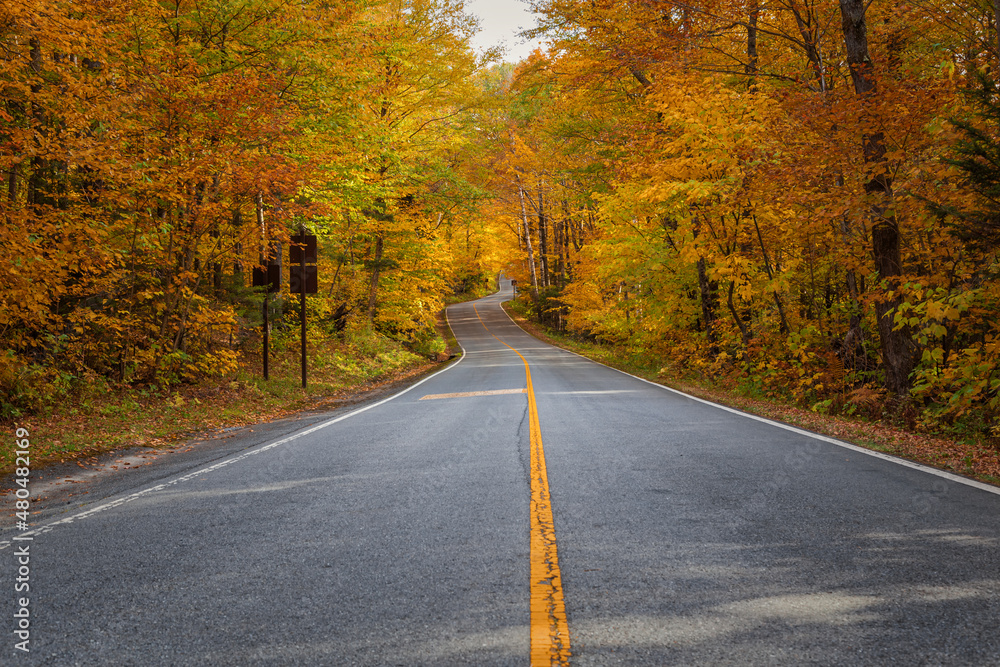 Fototapeta premium Fall Season in Western Massachusetts