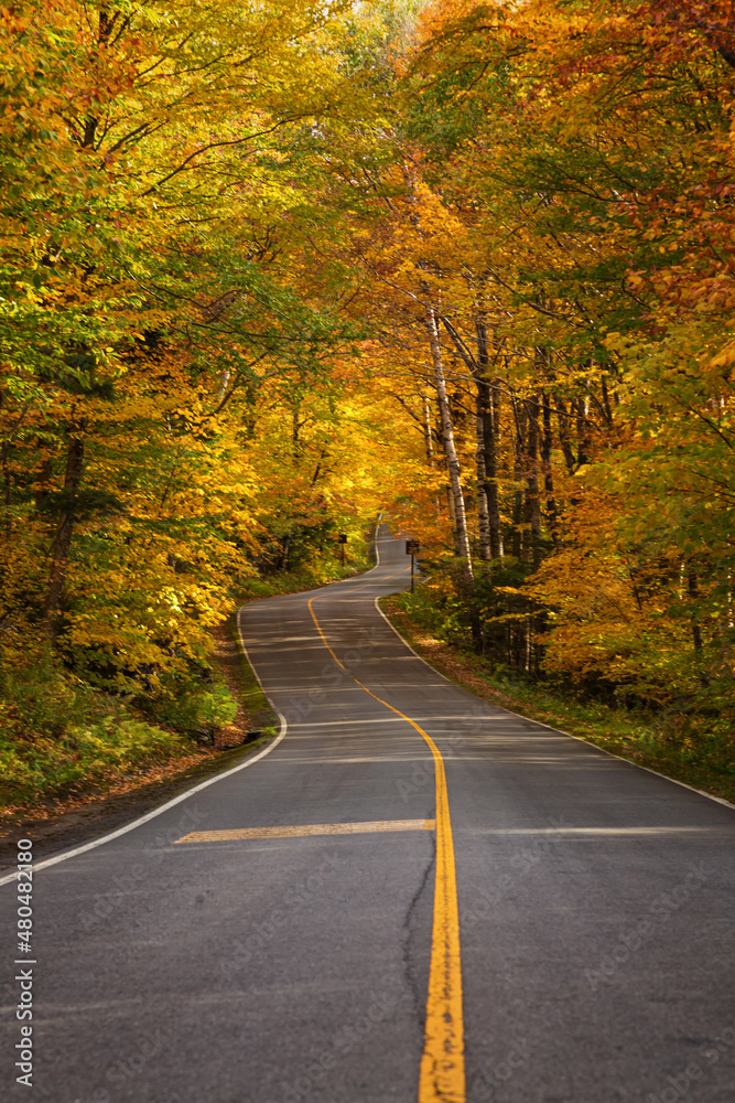 Fall Season in Western Massachusetts