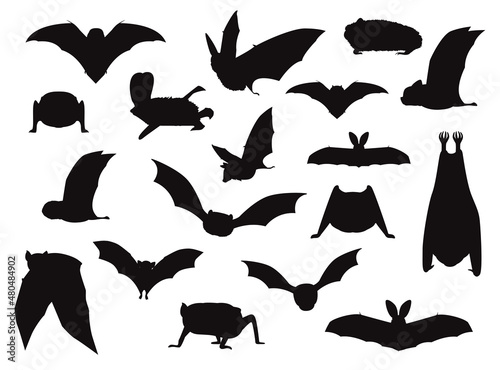 Various Bat Silhouettes Vector Illustration