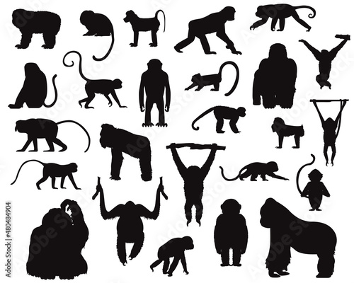Various Ape and Monkey Silhouettes Vector Illustration