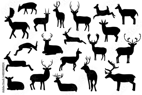 Various Deer Silhouettes Vector Illustration