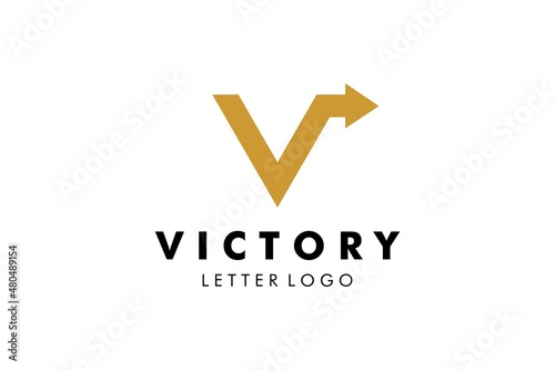 Letter V Logo : Suitable for Company Theme, Technology Theme, Finance Theme, Initial Theme, Infographics and Other Graphic Related Assets.
