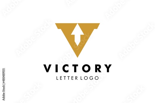 Letter V Logo : Suitable for Company Theme, Technology Theme, Initial Theme, Infographics and Other Graphic Related Assets.