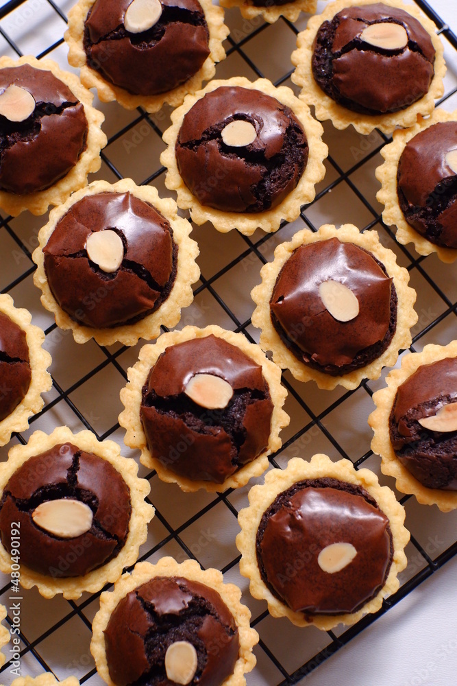 isolated of pie brownies against white background isolated of pie brownies against white background