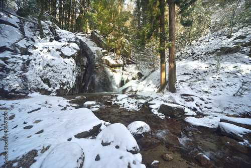 冬の寿老の滝