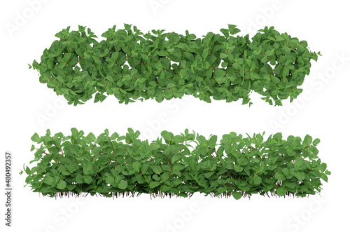 Shrub plants scene isometric 3d rendering scene