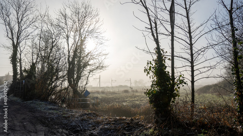 Cold   Misty Welsh Mornings