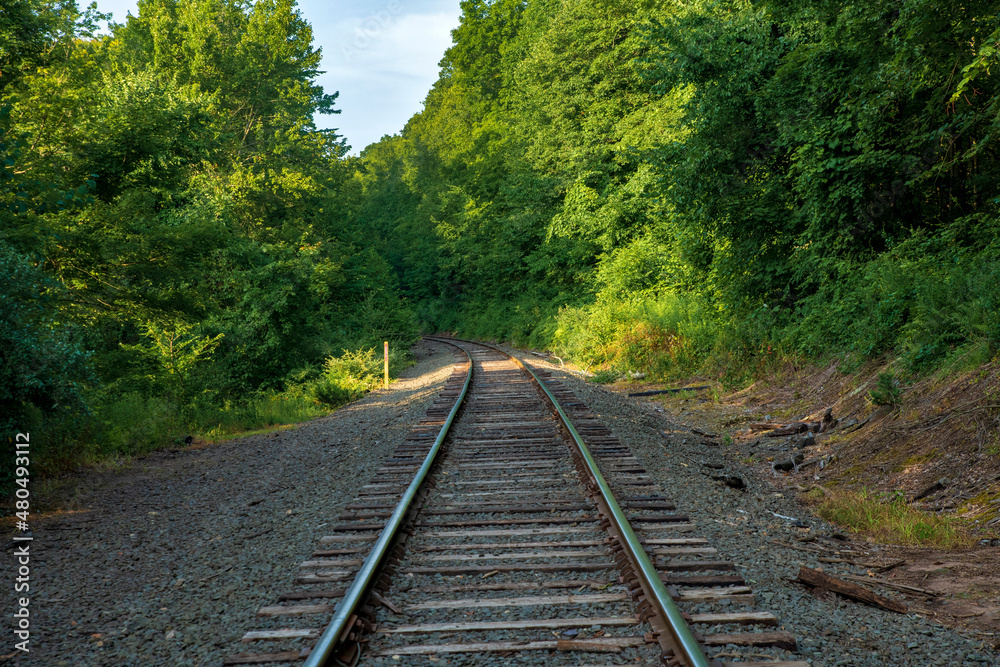 railway in the forest