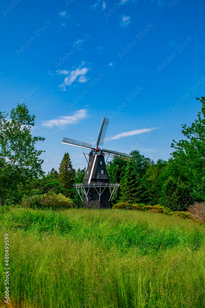 Fototapeta premium dutch windmill in the country