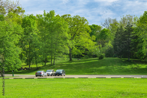 car in the park