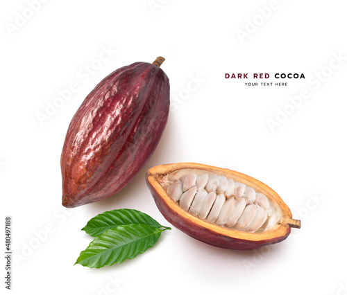 Top view of Dark red cocoa pods with half sliced isolated on white background. photo