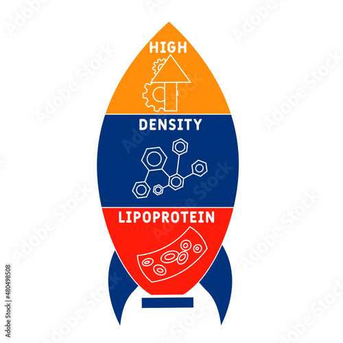 HDL - High-density lipoprotein acronym. business concept background.  vector illustration concept with keywords and icons. lettering illustration with icons for web banner, flyer, landing 