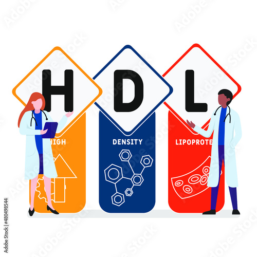 HDL - High-density lipoprotein acronym. business concept background.  vector illustration concept with keywords and icons. lettering illustration with icons for web banner, flyer, landing 