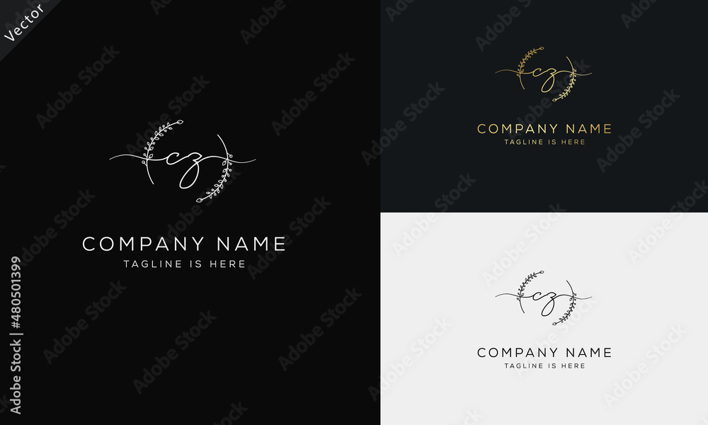 CZ ZC Signature initial logo template vector