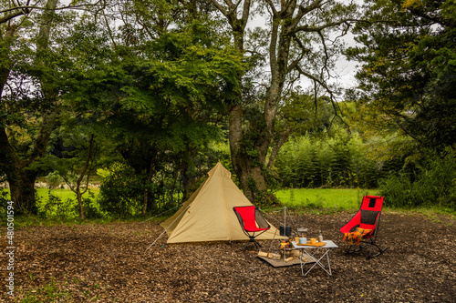 森の中でキャンプ Camping outdoors in the woods 