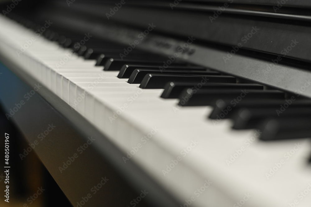 piano keys close-up. selective focusing. piano keys close-up. selective focusing.
