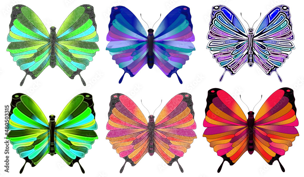 beautiful multicolored butterflies on a white background, illustrations