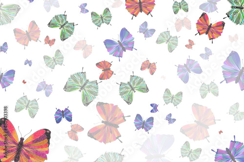 beautiful multicolored butterflies on a white background, illustrations © Valentina A