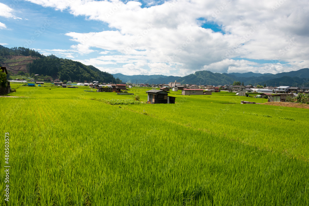 Gifu, Japan - Aug 04 2017- Rural landscape in Hida, Gifu, Japan.