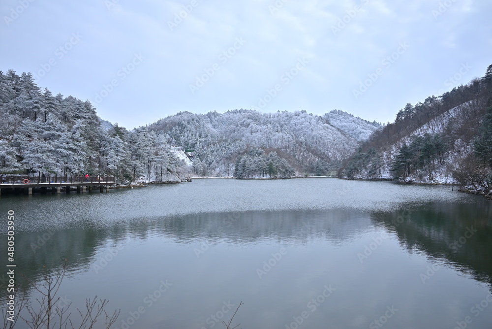 Naklejka premium lake in the snow mountains