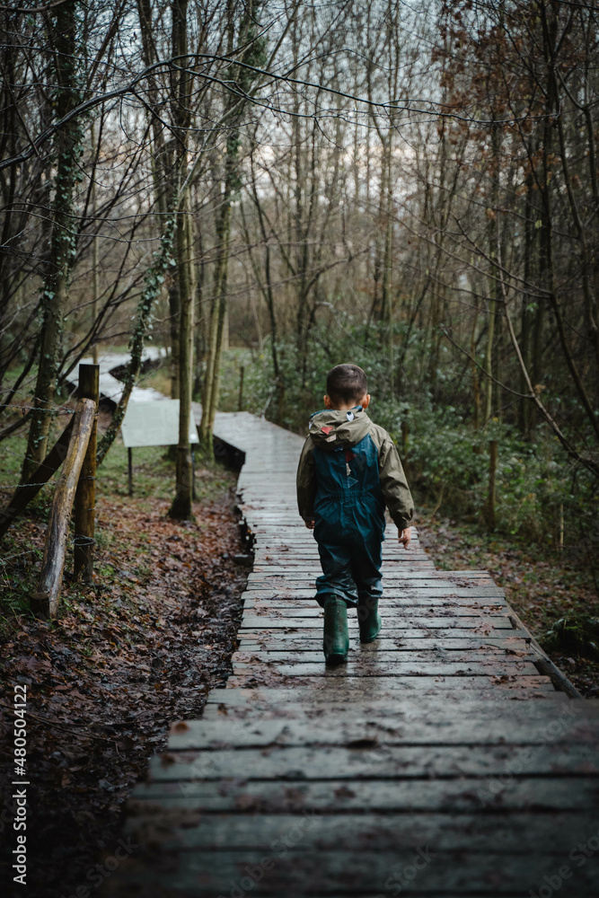 child walking in a forrest
