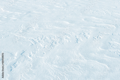The surface of dense snow on a sunny February day