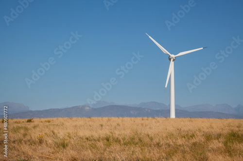 Wind turbine in a wheat field in Western Cape, South Africa, used to generate clean energy for the national grid.
