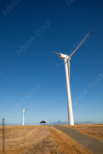 Wind turbine in a wheat field in Western Cape, South Africa, used to generate clean energy for the national grid.