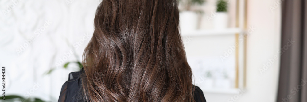 Beautiful long hair of a young brunette woman Beautiful long hair of a young brunette woman