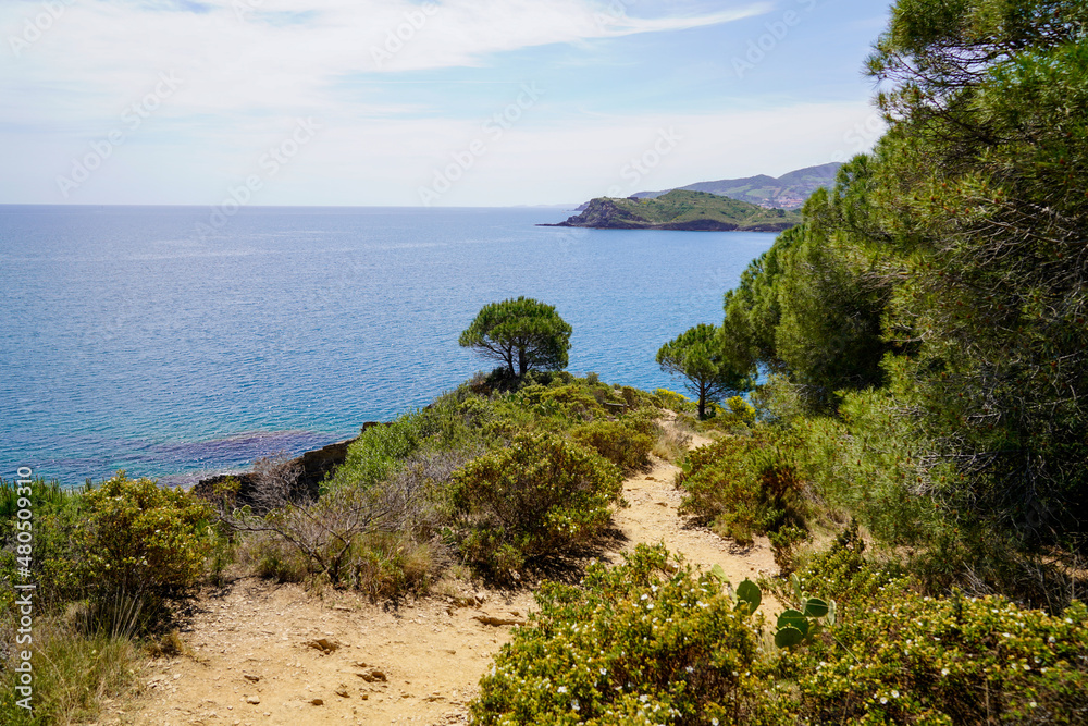 Port-Vendres in mediterranean coast in south french sea beach Pyrenees Orientales in Languedoc-Roussillon France Port-Vendres in mediterranean coast in south french sea beach Pyrenees Orientales in Languedoc-Roussillon France