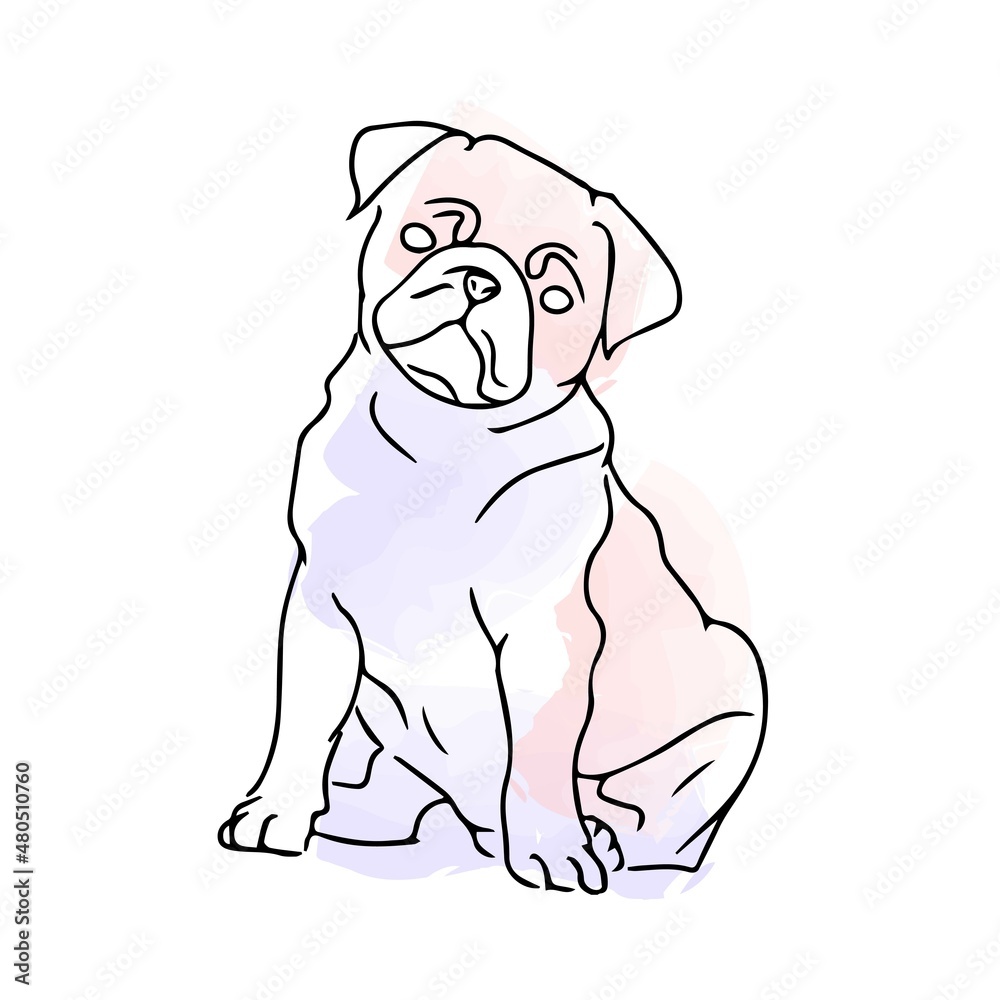 dog breed pug ,drawing in the style of lines and spots-2