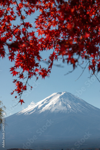 富士山 紅葉