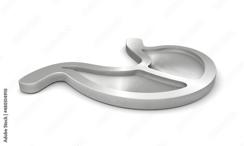 Steel Palte. Stomach shape Plate in Steel. Concept of Stomach. 3D Rendering. Steel Palte. Stomach shape Plate in Steel. Concept of Stomach. 3D Rendering.