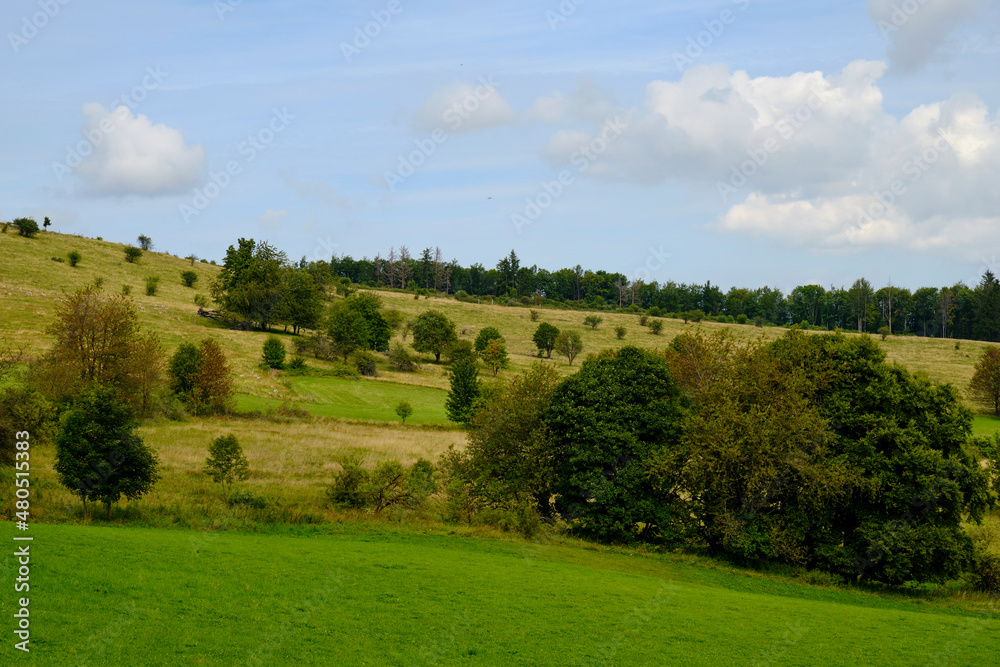 Landschaft am Mathesberg in der Hohen Rhön im Biosphärenreservat Rhön bei Wüstensachsen, Landkreis Fulda, Hessen, Deutschland