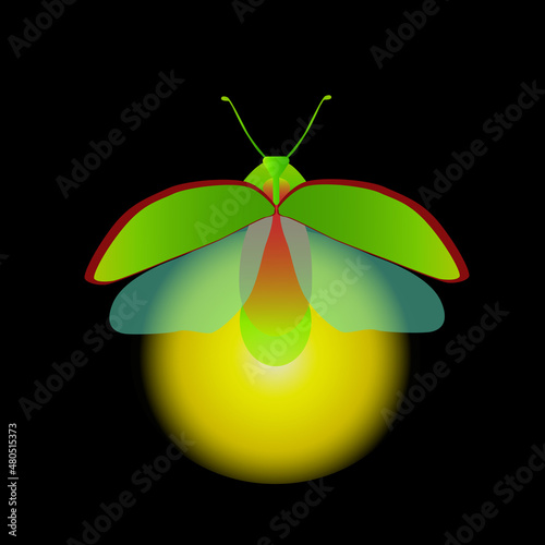 Vector illustration of a green firefly isolated on a black background.