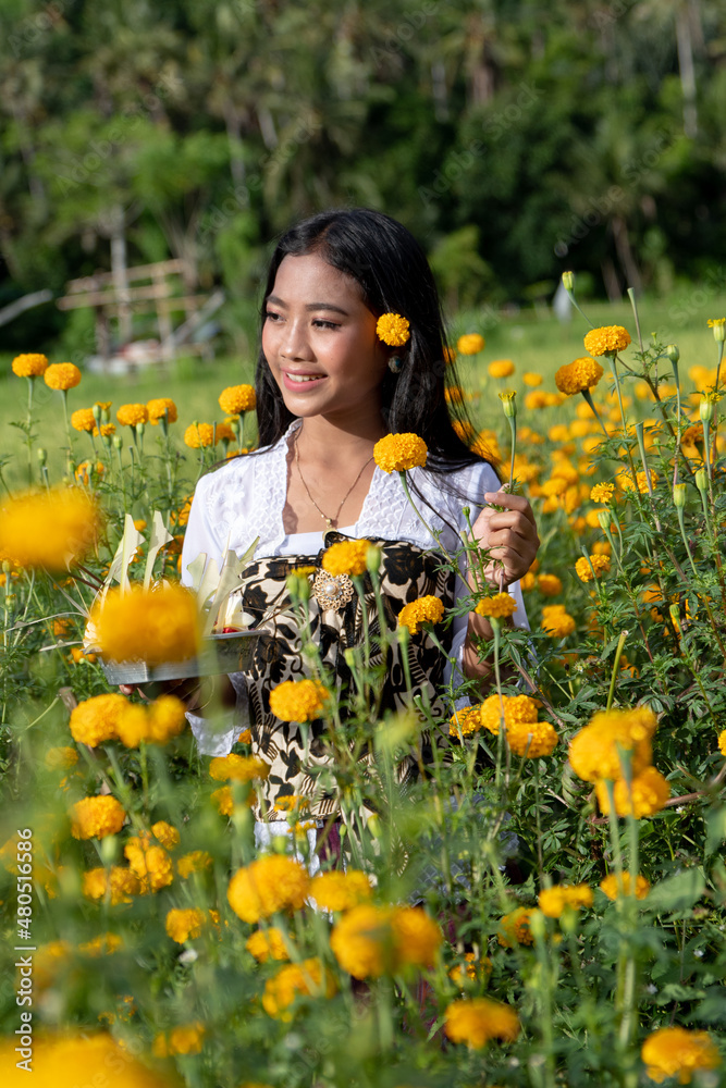 A young girl enjoys the lush beauty of the beautiful yellow marigold flowers of a medical field, with a flower behind her ear. A young girl enjoys the lush beauty of the beautiful yellow marigold flowers of a medical field, with a flower behind her ear.