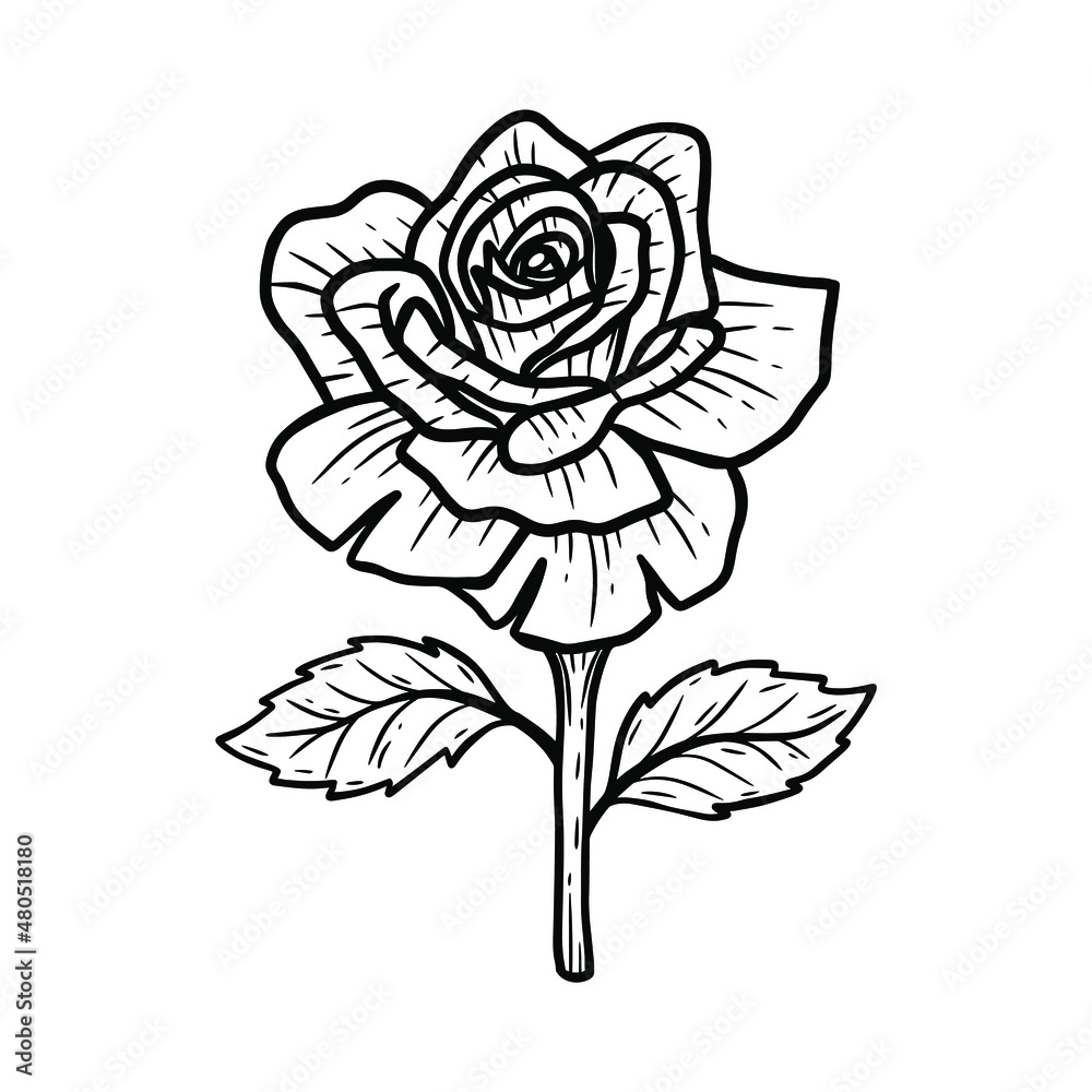 Obraz premium Hand Drawn Flower Rose Lotus leafs naturals isolated sticker black botanical Line Art illustration