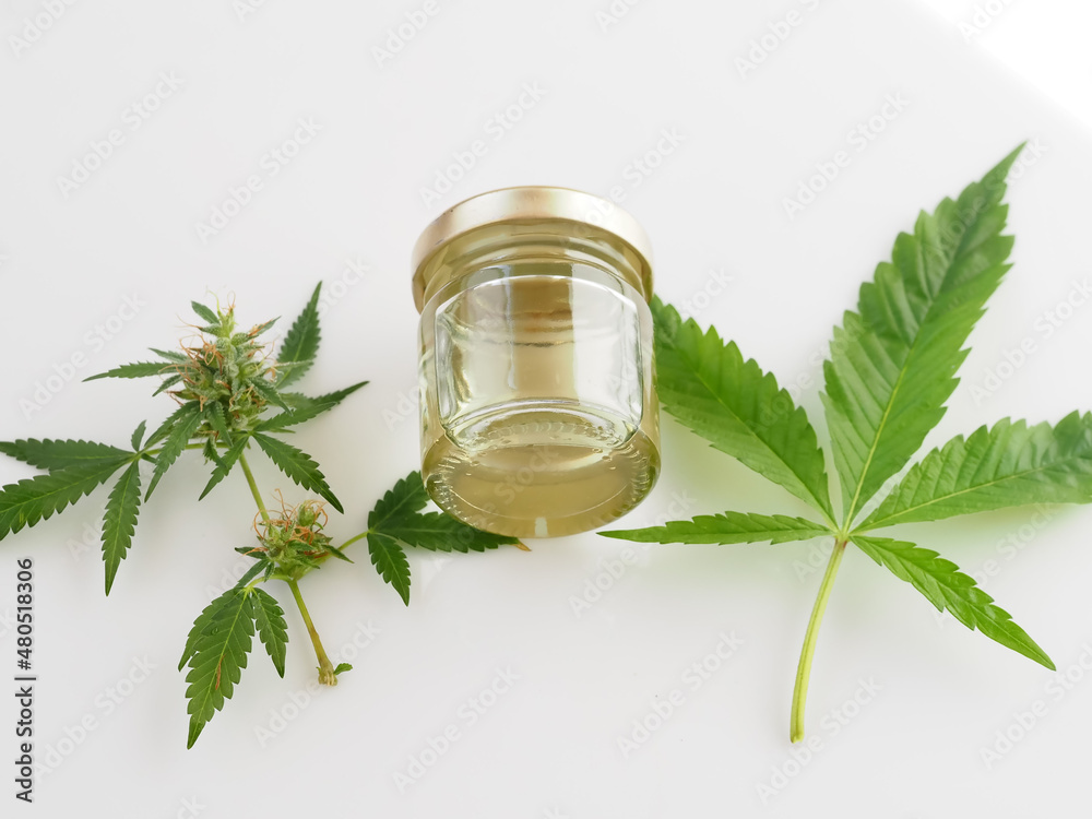 cannabis oil cbd spa concept.medical marijuana cannabis oil cbd spa concept.medical marijuana