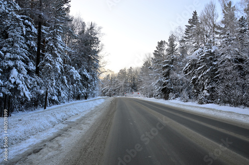 Winter landscape. The paved road runs through a dense pine forest. The trees look beautiful with white snow on the branches. Nature of Eastern Siberia
