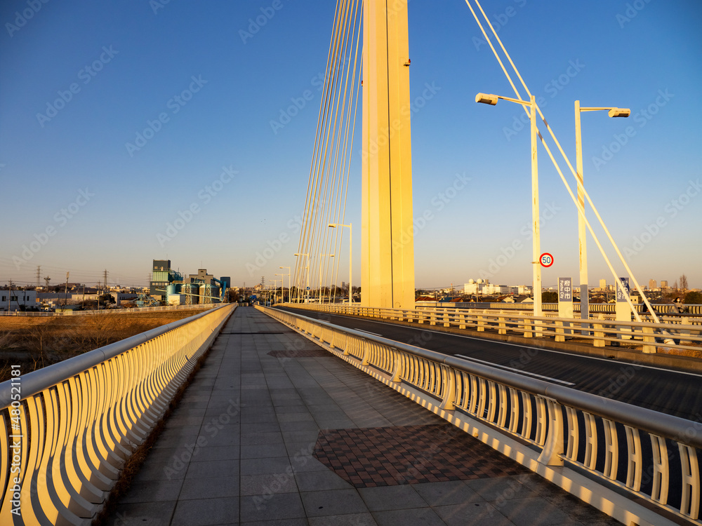 多摩川に架かる近代的な橋。夕陽に照られた橋。東京郊外道風景。府中四谷橋。
