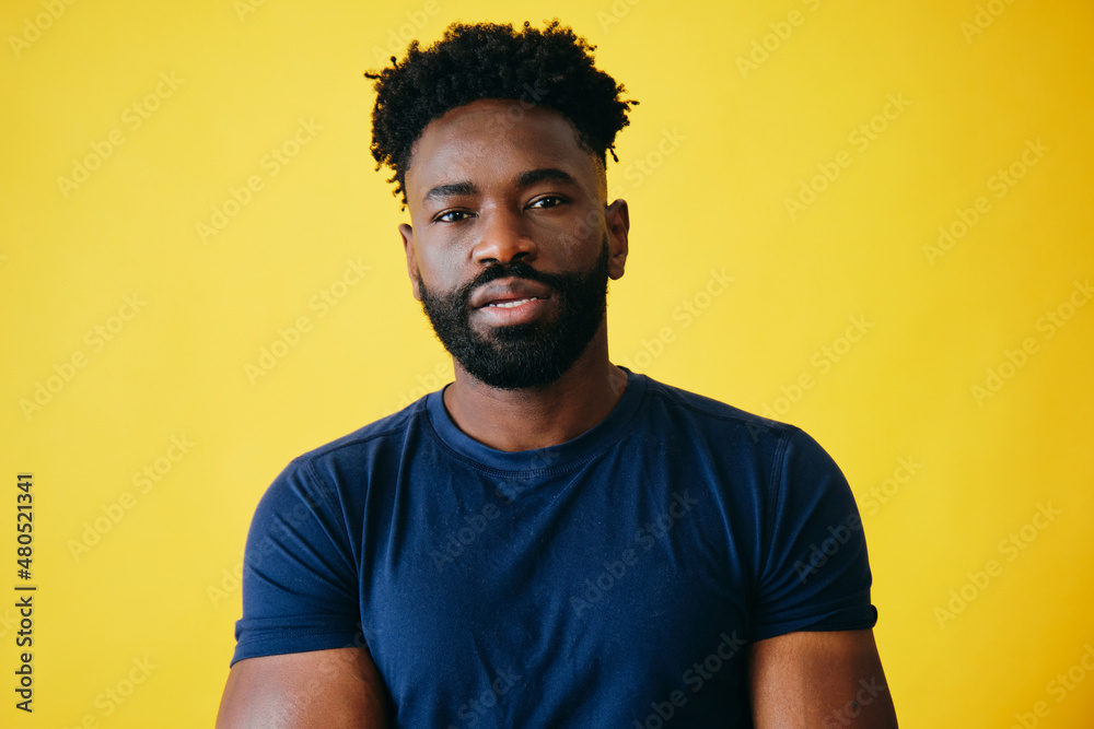 Handsome Man With Beard And Black Afro Hairstyle Handsome Man With Beard And Black Afro Hairstyle