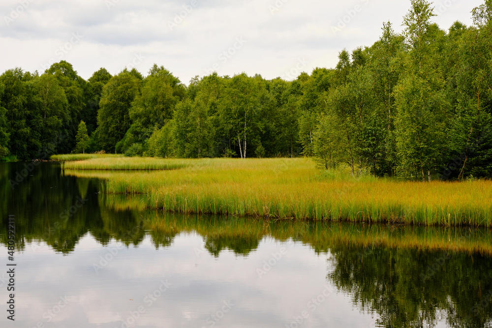 Das Naturschutzgebiet Das Naturschutzgebiet