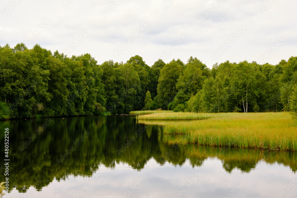 Das Naturschutzgebiet 